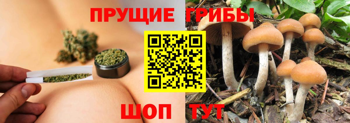 Галлюциногенные грибы мухоморы Клин